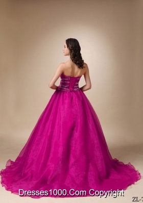 Princess Sweetheart Chapel Train Quinceanea Dress with Organza Beading