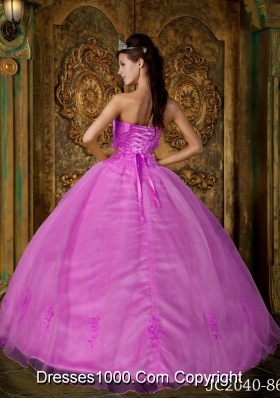 Rose Pink Ball Gown Strapless Quinceanera Dress  with  Appliques Organza