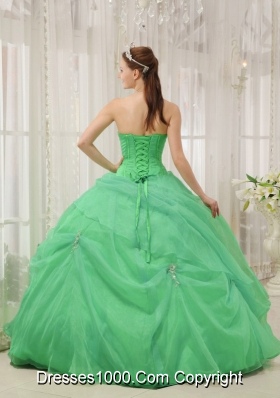 2014 Spring Sweetheart Organza Appliques Quinceaneras Dress