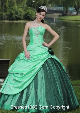 Turquoise Quinceanera Dress with Flowers and Pick-ups Custom Made