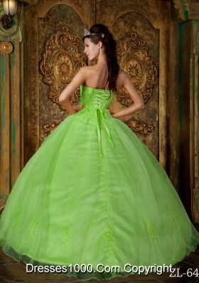 Princess Strapless Organza 2014 Quinceanera Dresses with Appliques