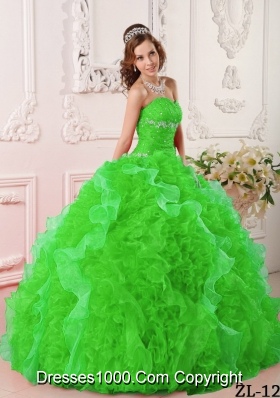 Beautiful Puffy Sweetheart Appliques and Beading 2014 Spring Quinceanera Dresses