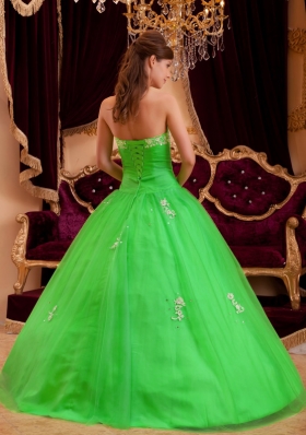 Cheap Strapless Appliques Princess 2014 Spring Green Quinceanera Dresses