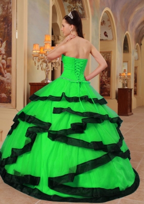 2014 Spring Ball Gown Strapless Organza Appliques Quinceanera Dresses