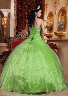 Beautiful Appliques Puffy Strapless Quinceanera Dresses for 2014