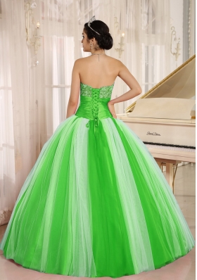 2014 Pretty New Arrival Strapless For Long Quincanera Dresses