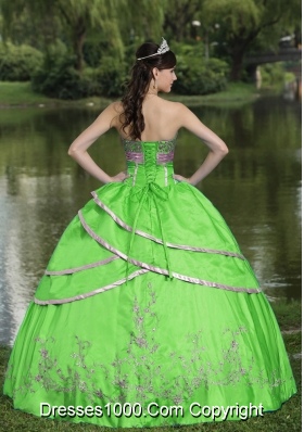 Designer Embroidery Taffeta and Satin 2014 Quinceanera Gowns