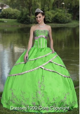 Designer Embroidery Taffeta and Satin 2014 Quinceanera Gowns