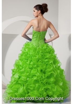 Spring Green Princess Sweetheart Beading and Ruffles 2014 Quinceanera Dresses