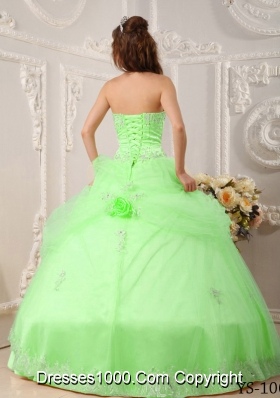 Beautiful Princess Sweetheart Organza Quinceaneras Dress with Appliques and Flowers