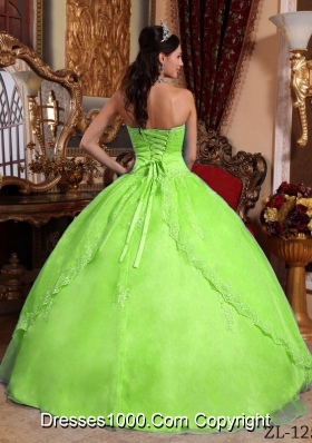 Puffy Strapless Organza Sweet Sixteen Dresses with Appliques