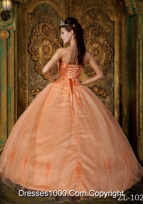 Orange Princess Strapless Appliques Organza Quinceanera Dress