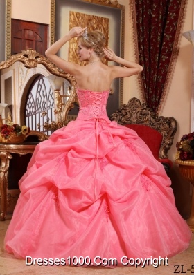 New Style Strapless Organza Pick-ups Quinceanera Gowns with Appliques