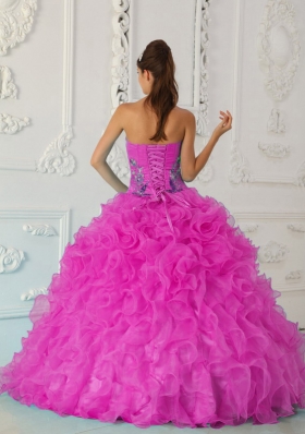 Exquisite Ball Gown Strapless Quinceanera Dress with  Embroidery