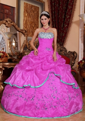 Hot Pink Ball Gown Strapless Appliques 2014 Spring Quinceanera Dress
