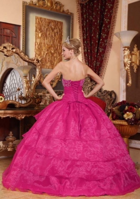 Hot Pink Ball Gown Strapless 2014 Quinceanera Dresses with Appliques