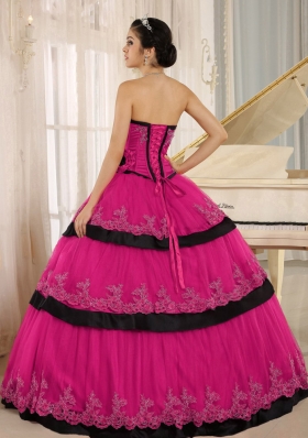 Custom Made For 2014 Quinceanera Dresses with Hand Made Flowers