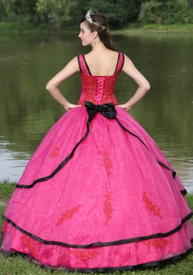 Most Popular V-neck Appliques Decorate Quinceanera Gowns With Long Sleeves