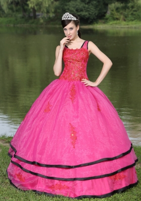 Most Popular V-neck Appliques Decorate Quinceanera Gowns With Long Sleeves