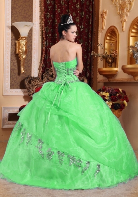 2014 Gorgeous Puffy Sweetheart Green Quinceanera Dress with Appliques and Beading