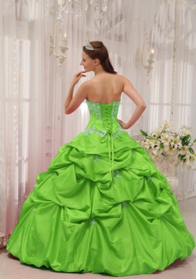 2014 Spring Green Puffy Sweetheart Appliques Quinceanera Dress with Pick-ups