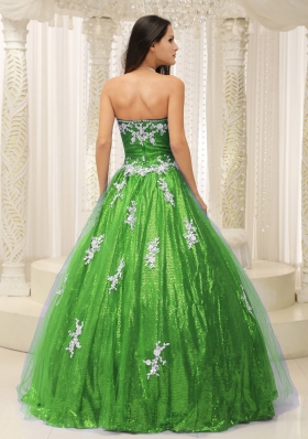 2014 Wonderful A-line Quinceanera Dresses with Appliques and Paillette Over Skirt