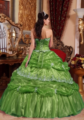 2014 Green Puffy Strapless Appliques Quinceanera Dress with Pick-ups