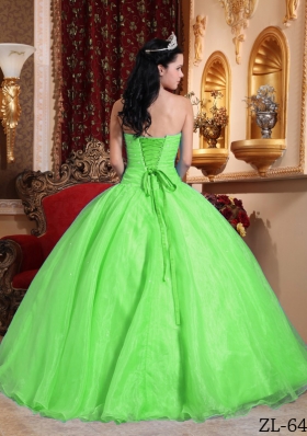 2014 Spring Green Puffy Strapless Appliques Quinceanera Dress with Beading