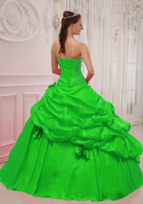 Gorgeous Puffy Sweetheart with Pick-ups and Appliques Decorate for 2014 Green Quinceanera Dress