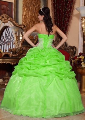 2014 Spring Green Puffy Strapless Appliques Quinceanera Dress with Pick-ups