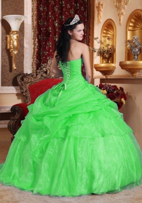 Classical Spring Green Puffy Strapless for 2014 Beading Quinceanera Dress with Appliques