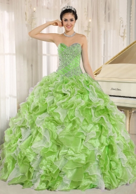 Lovely Spring Green Beaded Bodice and Ruffles Custom Made For 2014 Quinceanera Dress