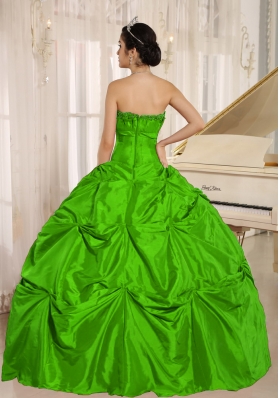 Petty Green Puffy 2014 Quinceanera Dress with Pick-ups For Custom Made