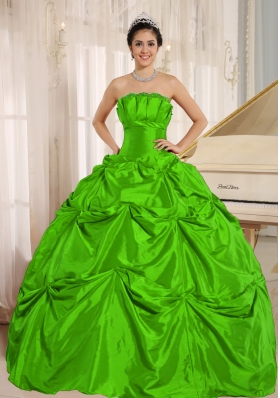 Petty Green Puffy 2014 Quinceanera Dress with Pick-ups For Custom Made