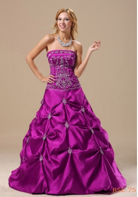 Embroidery Decorate Bodice Pick-ups A-line Floor-length 2013 Prom / Evening Dress
