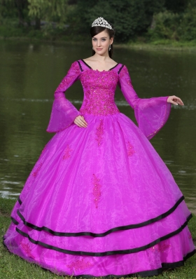 V-neck Appliques Decorate Quinceanera Dress with Detachable Sleeves