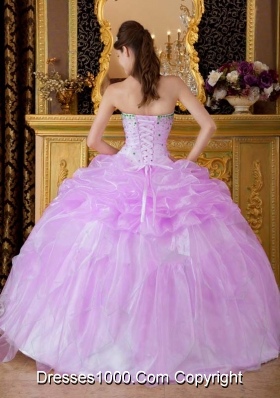 Ball Gown Strapless Beading and Pick-ups Quinceanera Gowns Dresses