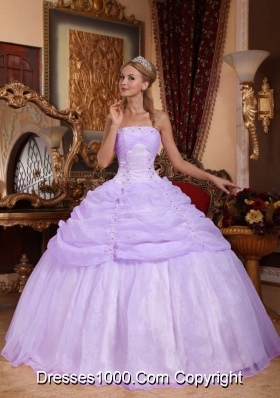 Ball Gown Strapless Organza Quinceanera Gowns with Pick-ups