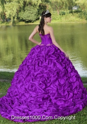 Popular Appliques and Pick-ups Purple Exquisite For 2014 Quinceanera Dress