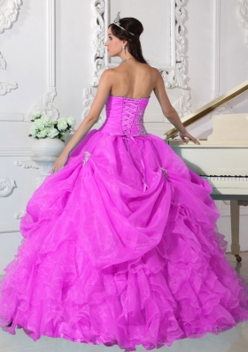 Strapless Organza Sweet Sixteen Dresses with Appliques and Ruffles