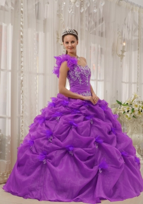 Ball Gown One Shoulder Appliques Quinceanera Dress with Pick-ups