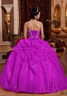 Elegant Sweetheart Organza Quinceanera Dress with Appliques and Pick-ups