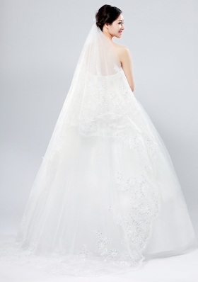 Classic One-Tier Lace Appliques Edge Wedding Veil