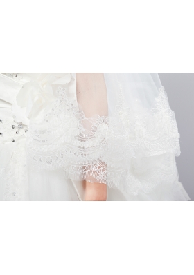 Two-Tier Drop Veil Tulle Lace Appliques Edge Wedding Veils