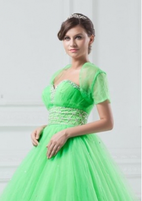 Exquisite Open Front Organza Spring Green Quinceanera Jacket For 2014