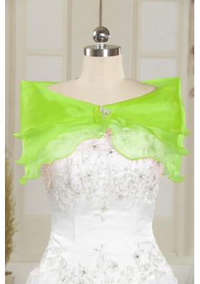 Beautiful Beading Organza Shawls in Spring Green