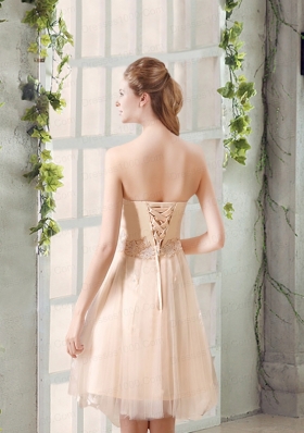 Champagne A Line Strapless Appliques Dama Dress