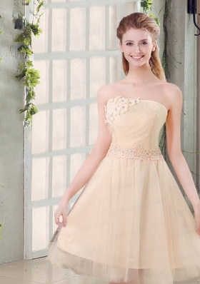 Champagne A Line Strapless Appliques Dama Dress