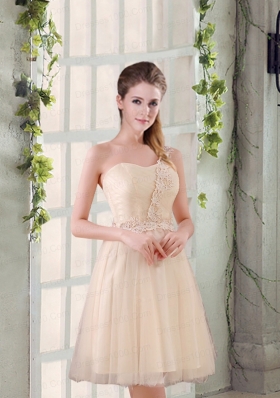 Popular A Line Appliques Dama Dress with One Shoulder