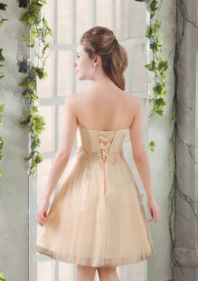 Strapless Appliques 2015 New Dama Dress in Champagne